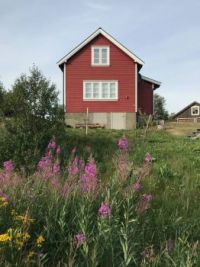 Domek v Norsku