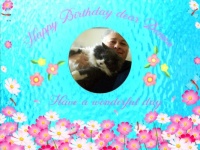 Happy Birthday dear Donna  (dhi)