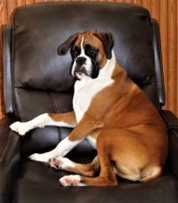 This is my chair and only my chair!!!
