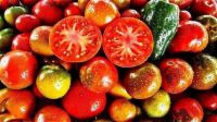 TOMATES EN ETE