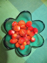 Berries from my garden 1