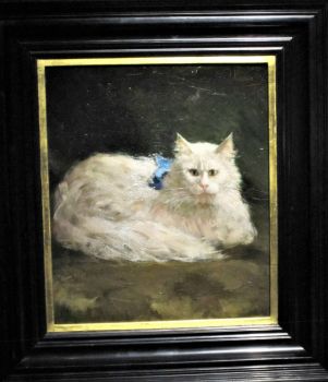 Cat Portrait, Willet-Holthuysen House Museum, Amsterdam 12.16