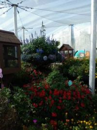 Butterfly House, EPCOT 2019 Flower & Garden Festival