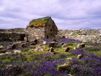Inishmurray ruins