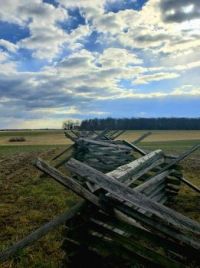 jo - g'burg fence small