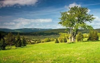 Jarní krajina