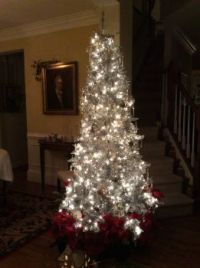 IMG_0133 (1)