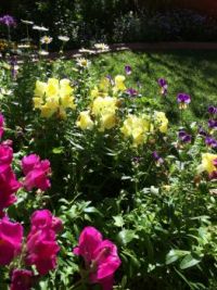 spring colour