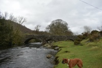 Today's walk From Ulpha Bridge, Cumbria Lake District, England.