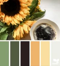 Flower - Seeds