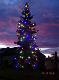 vánoční strom - Christmas tree