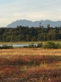 Iona, near the Vancouver airport