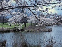 Across the ponds at BB