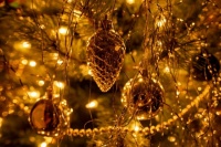 christmas-tree-6924746_1280