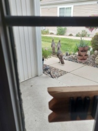 We had some visitors.