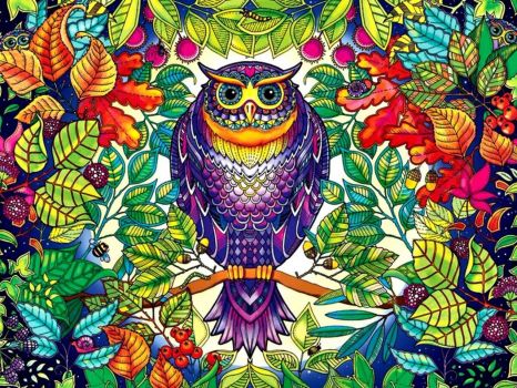 Solve Colorful Owl jigsaw puzzle online with 252 pieces