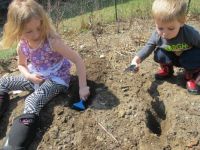 Starting the garden...