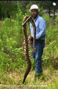 Big Snake near Cannonsburg