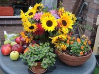 autumn colours 2