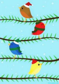 Winter Birdies
