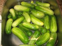 pickles, blocks 022