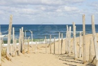 Sandy beach and ocean at Cape Cod
