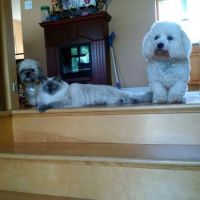 The welcome team