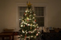 Our christmas tree :)