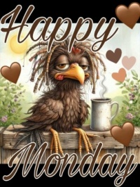 Happy Monday! 😁