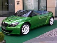 Škoda RS 2000 (1)