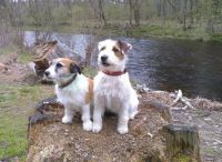 Ines & Django in Susice