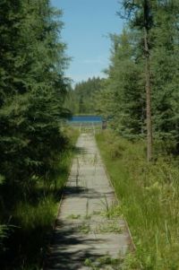 Path to Mud Lake - St. Germain, Wisconsin