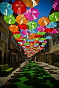 studio-ivotavares-colourful-umbrellas_