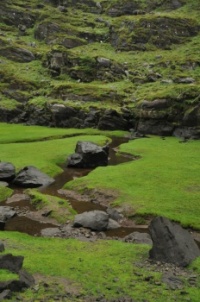 Near Kenmare, Ireland 2010