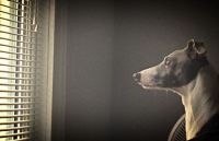 My beautiful son :)