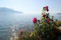 Montreux - Lac Leman (Suisse)