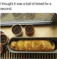 Feline Loaf of Bread