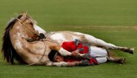 Indian Horse Training Demo