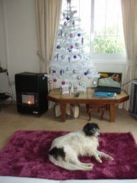 CHRISTMAS 2012