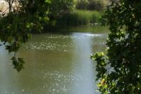 Río Manzanares