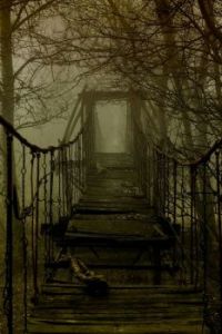 misty path...