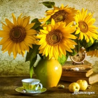 Sunflowers & sunshine . . . . .