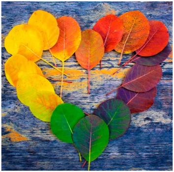 rainbow heart from autumn leaves
