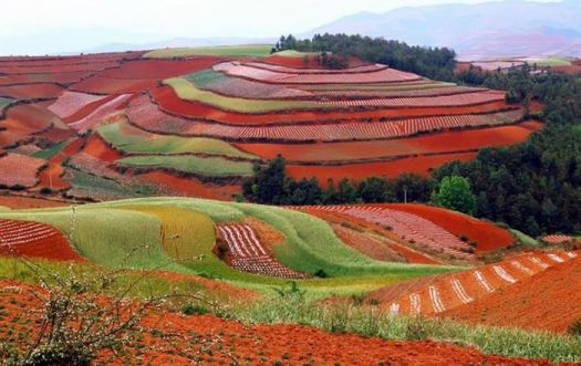 'Dongchuan, red earth of SW China'..