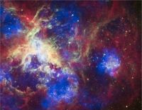 Hubble picture of the Tarantula Nebula