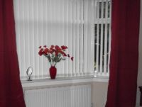 Poppies and curtains