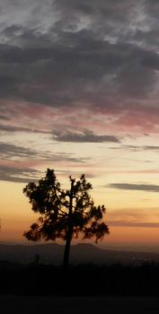 Sunset in Riverside, CA  July 25, 2016 #4