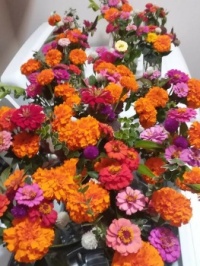 Little garden bouquets