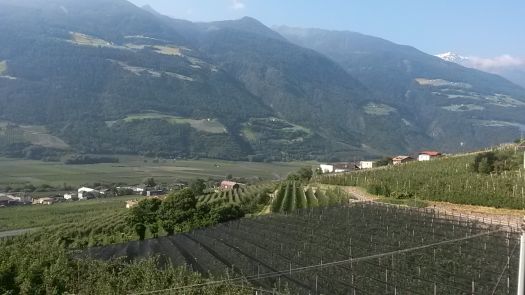 Vinschgau, Südtirol