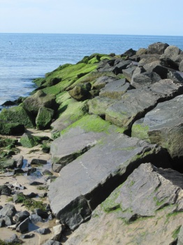 Solve A Breakwater, Cape Cod, 2014 jigsaw puzzle online with 20 pieces